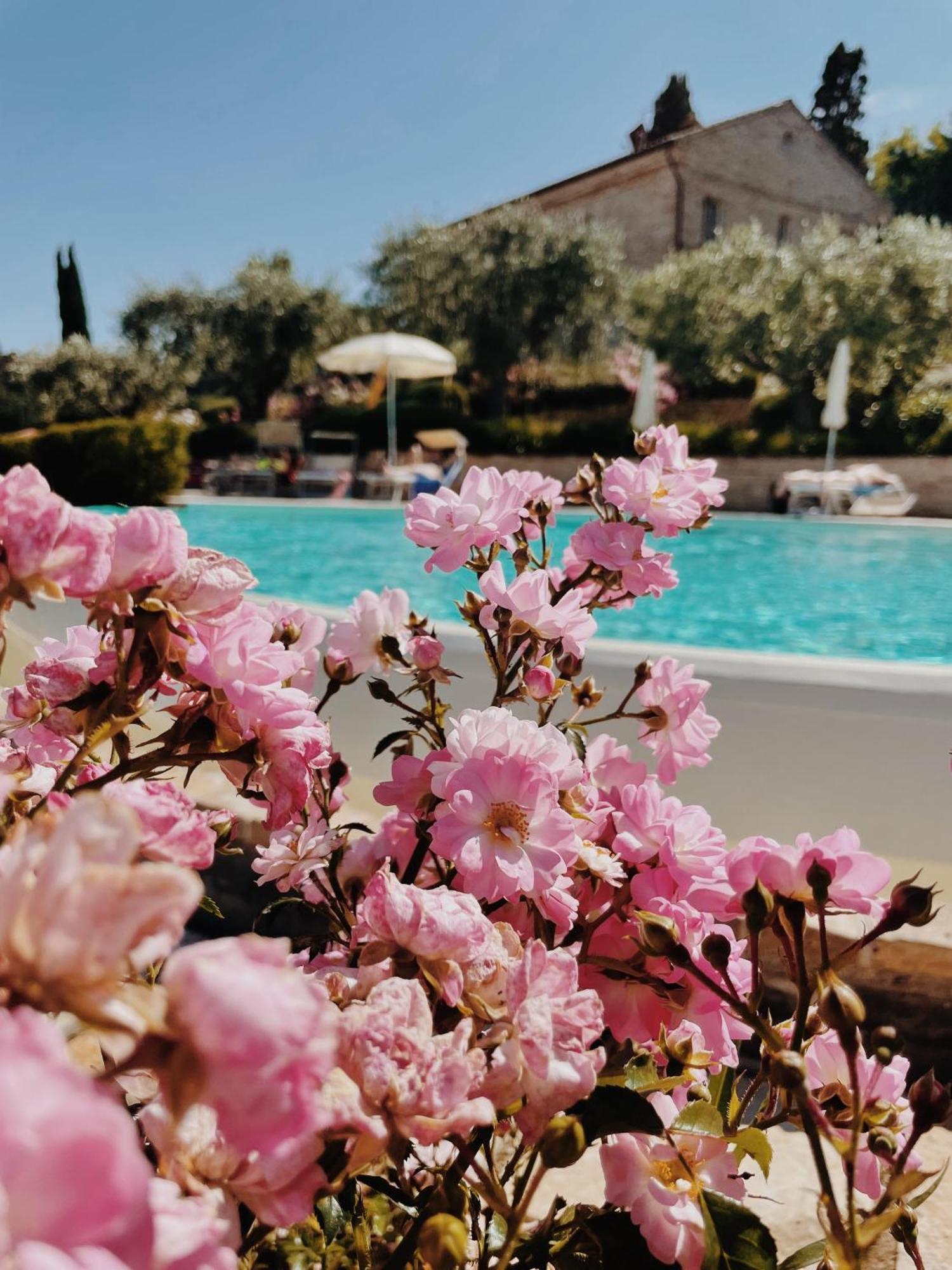 Pamperduto Country Resort Porto Potenza Picena Exterior photo